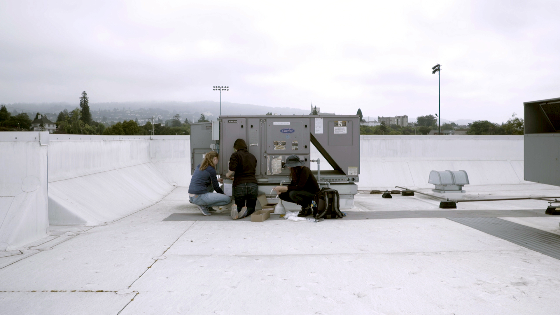 ROOFTOPSHARPEN